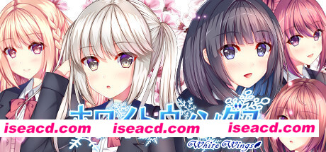 白色之翼/White Wings