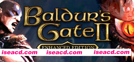 博德之门2/Baldurs Gate II Enhanced Edition(v2.6.5.0-加强版)