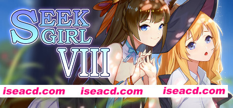 寻找女孩8/Seek Girl Ⅷ