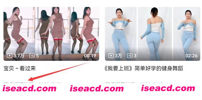 【B站骚鸡/带视频】B站UP主;乐乐爱跳舞 隐退定制透视内衣骚舞play合集[23V]【8G】