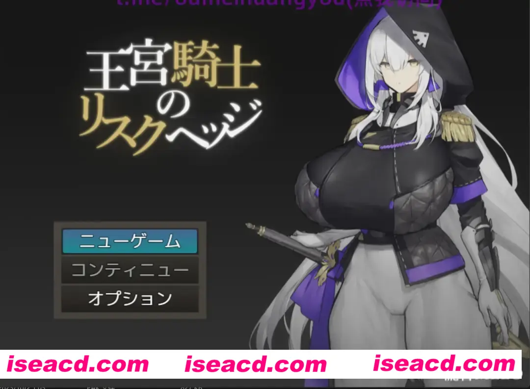 【日式RPG/AI汉化】王宫骑士的风险对冲 王宮騎士のリスクヘッジ AI汉化版【300M/新作】