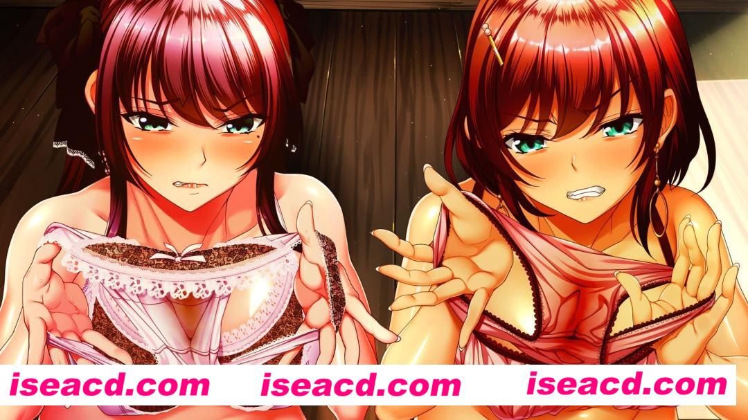 【大作ADV/中文/超强拔作/全动态】湿漉漉的孤岛/濡れる孤島 精翻汉化版+全CG存档【13.5G/全CV】