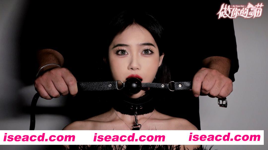 【互动SLG/中文/真人全动态】《当你的猫咪》TENOKE 官方中文硬盘版【33.6G/新作/中文配音】