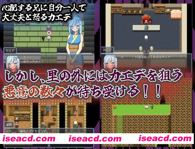 【RPG/AI汉化/MTool】半熟忍者枫 ~心跳加速的初任务~【电脑/2G】