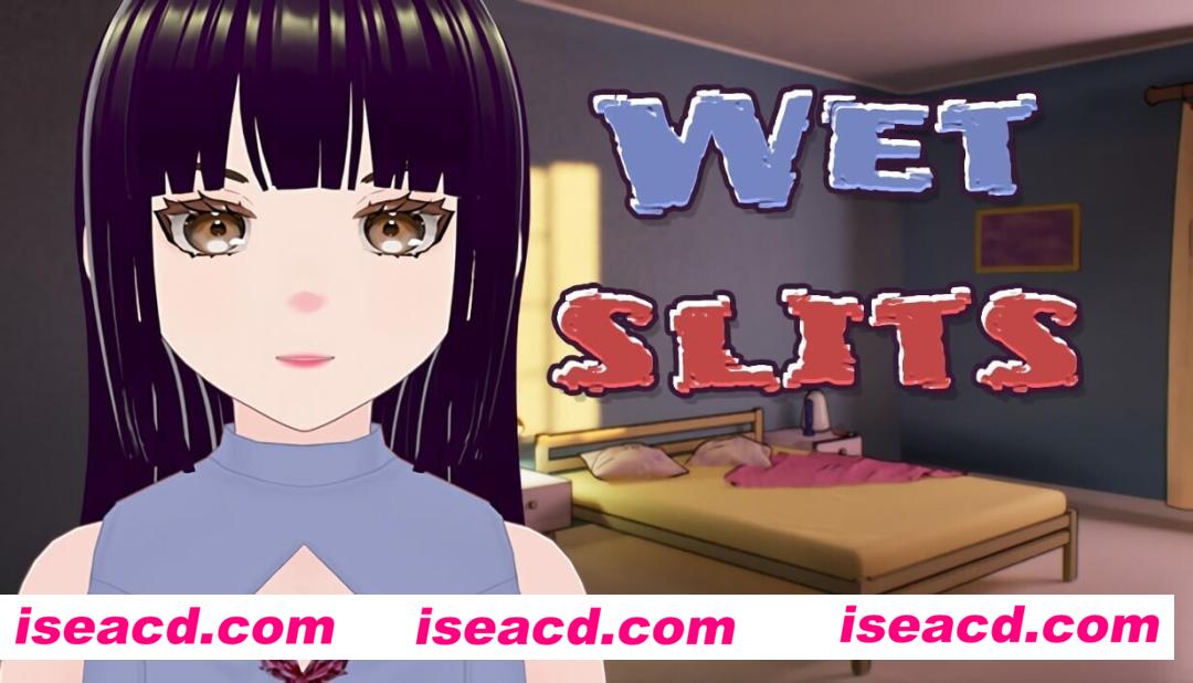 【3D游戏/中文/步兵全动态】湿润的缝隙 wet slits Ver1.1 官方中文步兵版【700M/新作】