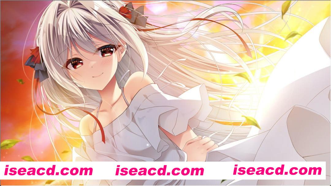 【ADV/AI汉化/CV/存档】流星 FDv1.1【PC/2.0G】