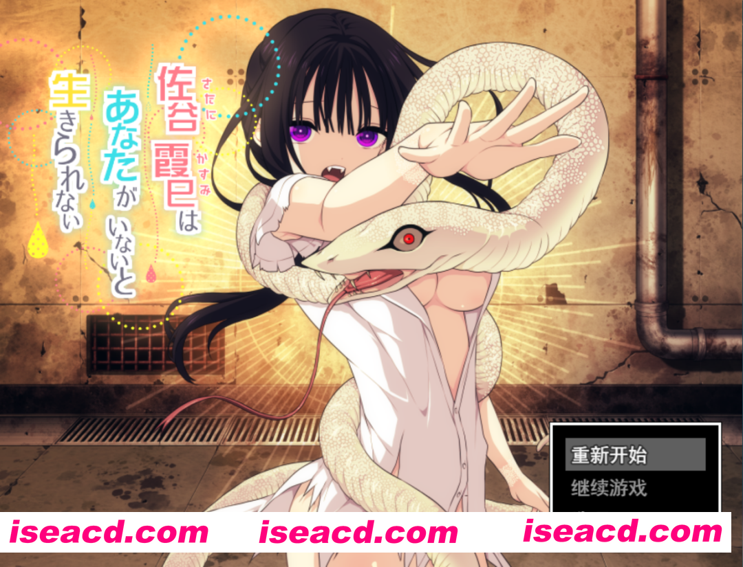 【互动SLG/汉化/换装/同居/背德/羞耻/PC】佐谷霞巳没有你就活不下去 佐谷霞巳はあなたがいないと生きられない Mtool汉化【1.35G】