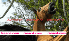 【欧美SLG/汉化/完结】母亲村：露营日v1.0完结 AI版【PC+安卓/1.98G/更新】Mothers Village: Camping Day [v1.0]