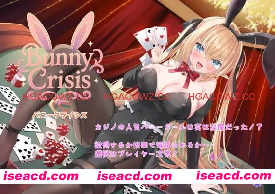 【ADV/AI汉化/动态/MTool/CV】Bunny Crisis ～兔女郎危机～【PC/3.2G】
