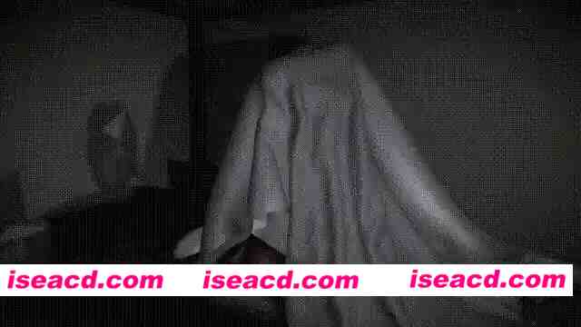 [3D动画/中文/步兵] decade 我的AV女优妈妈#1-2整合32分 CV中配 [1v] [600M/CV]